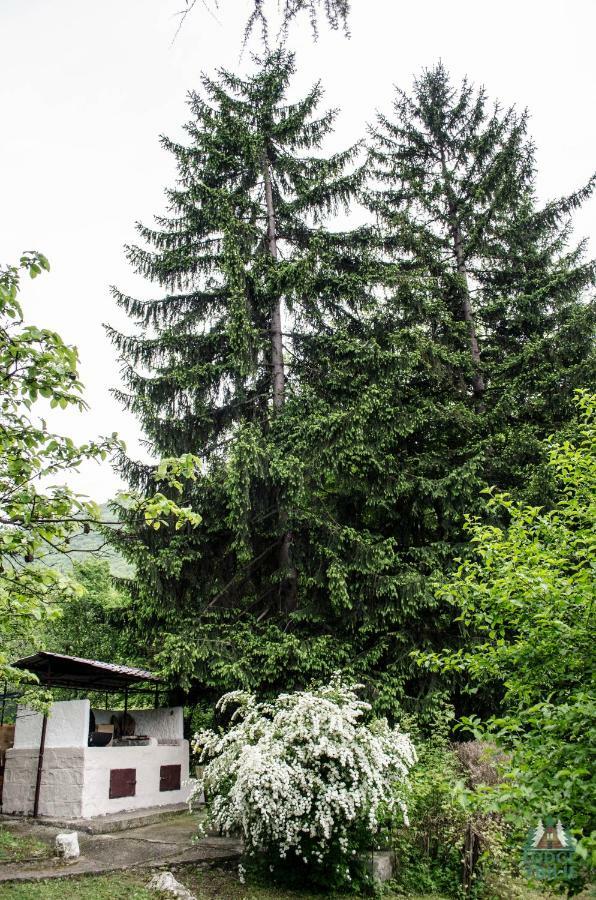 Lodge Zbilje Visoko, Bosnian Pyramids Exterior foto
